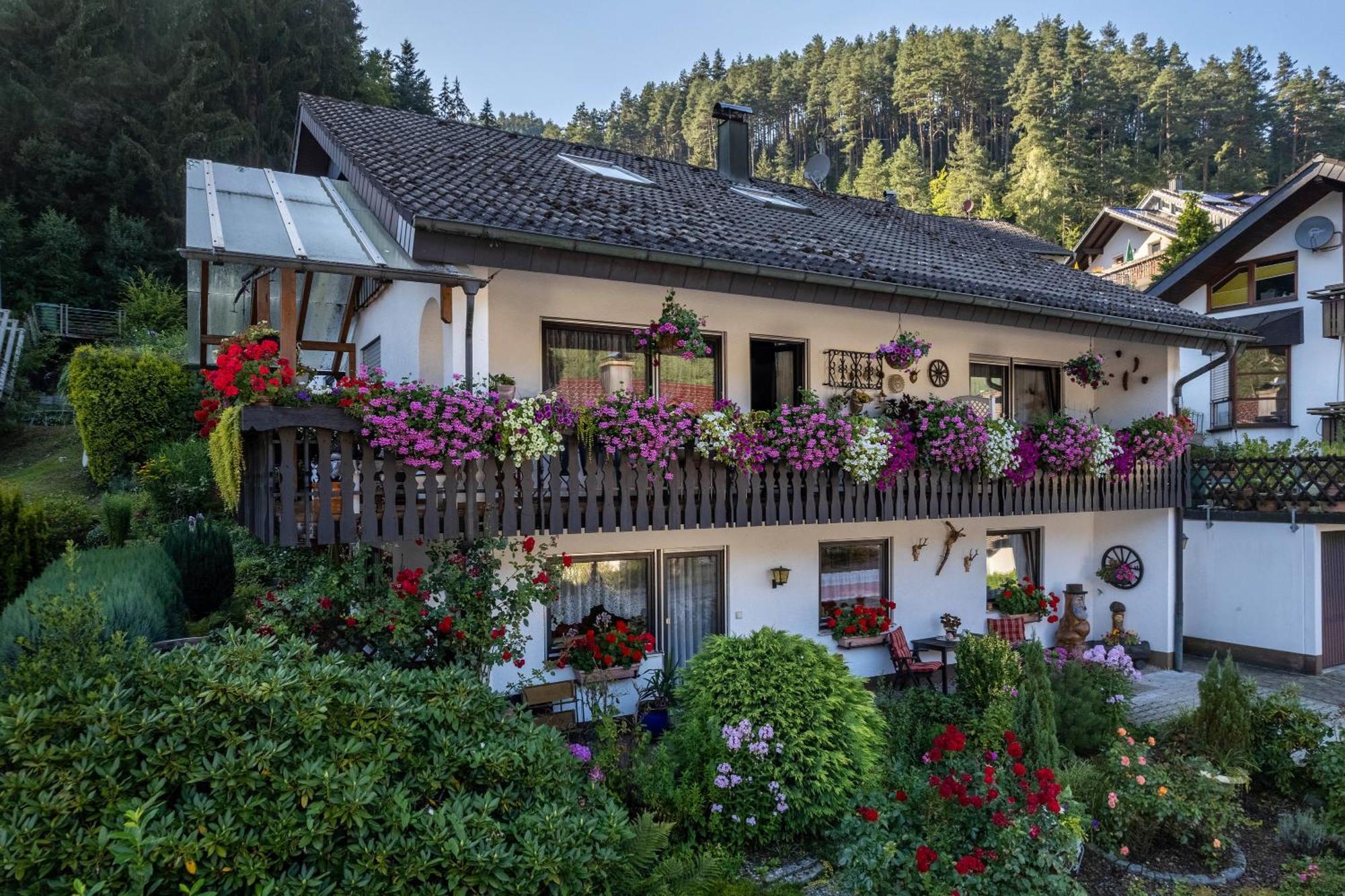 Ferienwohnung Schwarzwaelder Hornberg Extérieur photo